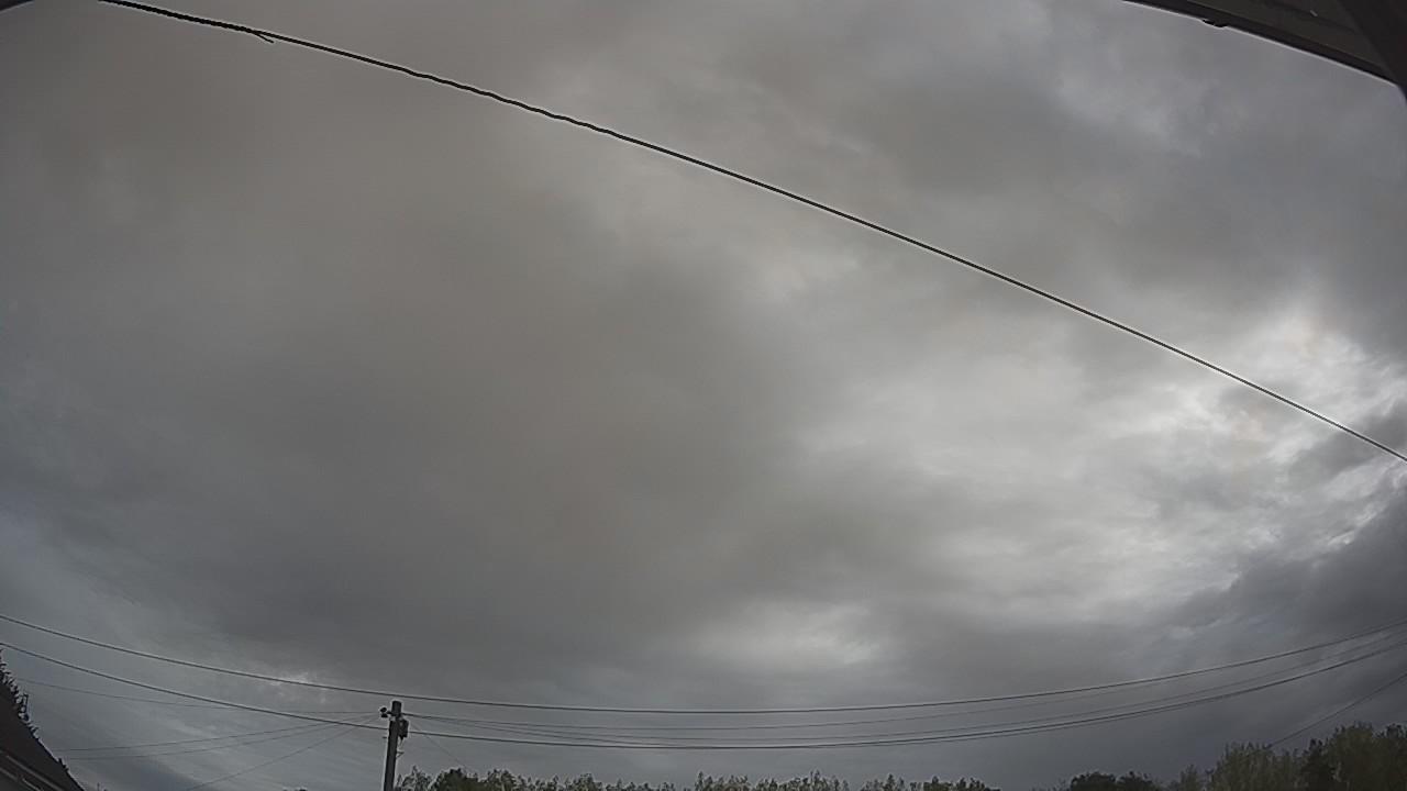 20260816_080533_cam2.jpg