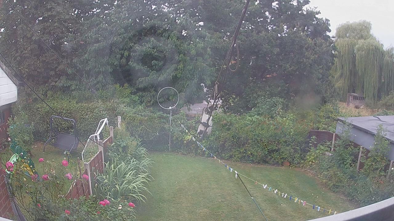 20260816_081017_cam1.jpg