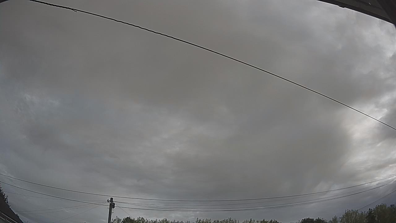 20260816_081018_cam2.jpg