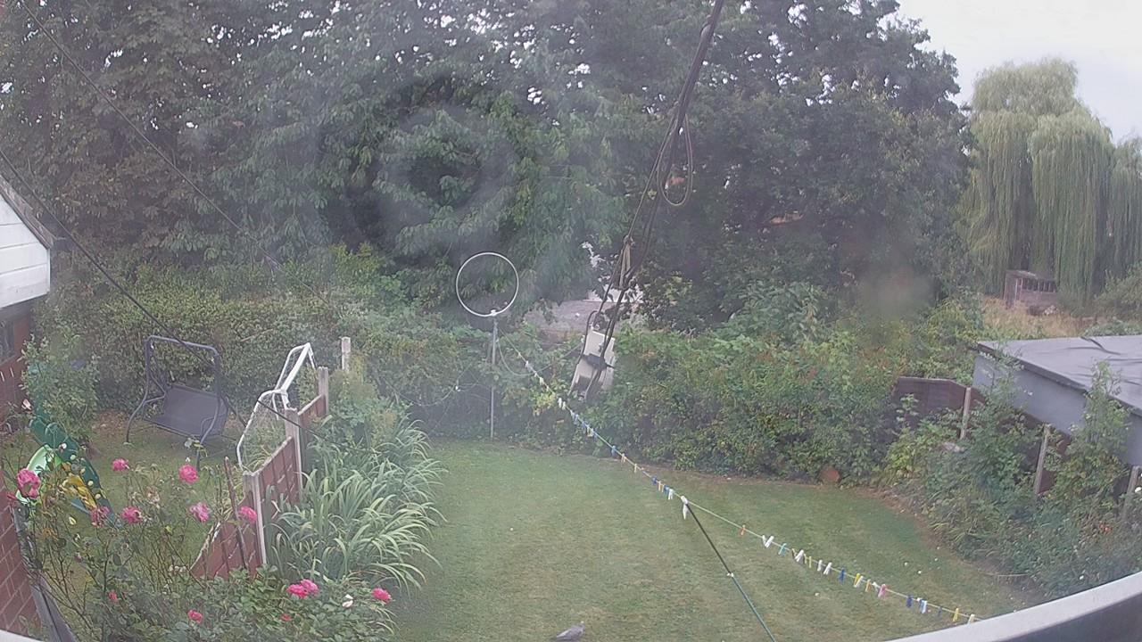 20260816_081502_cam1.jpg
