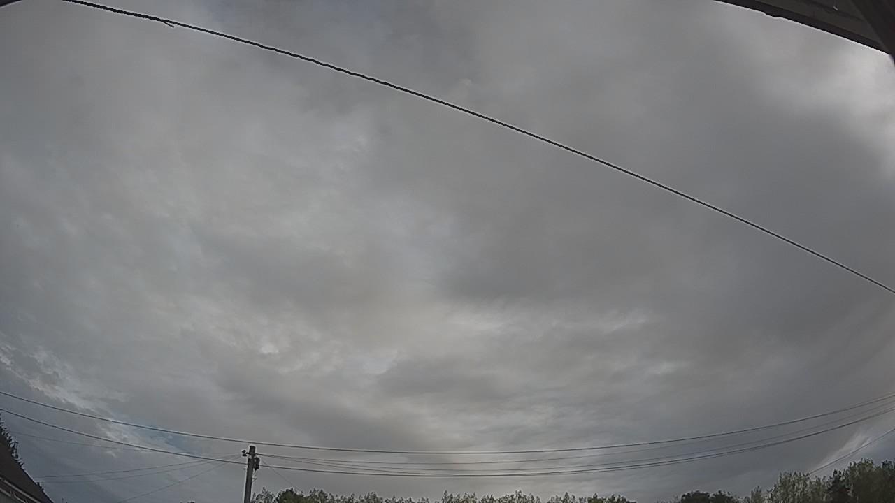 20260816_081503_cam2.jpg