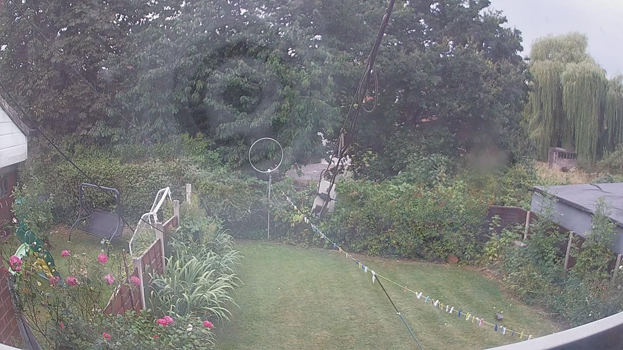 20260816_081947_cam1.jpg