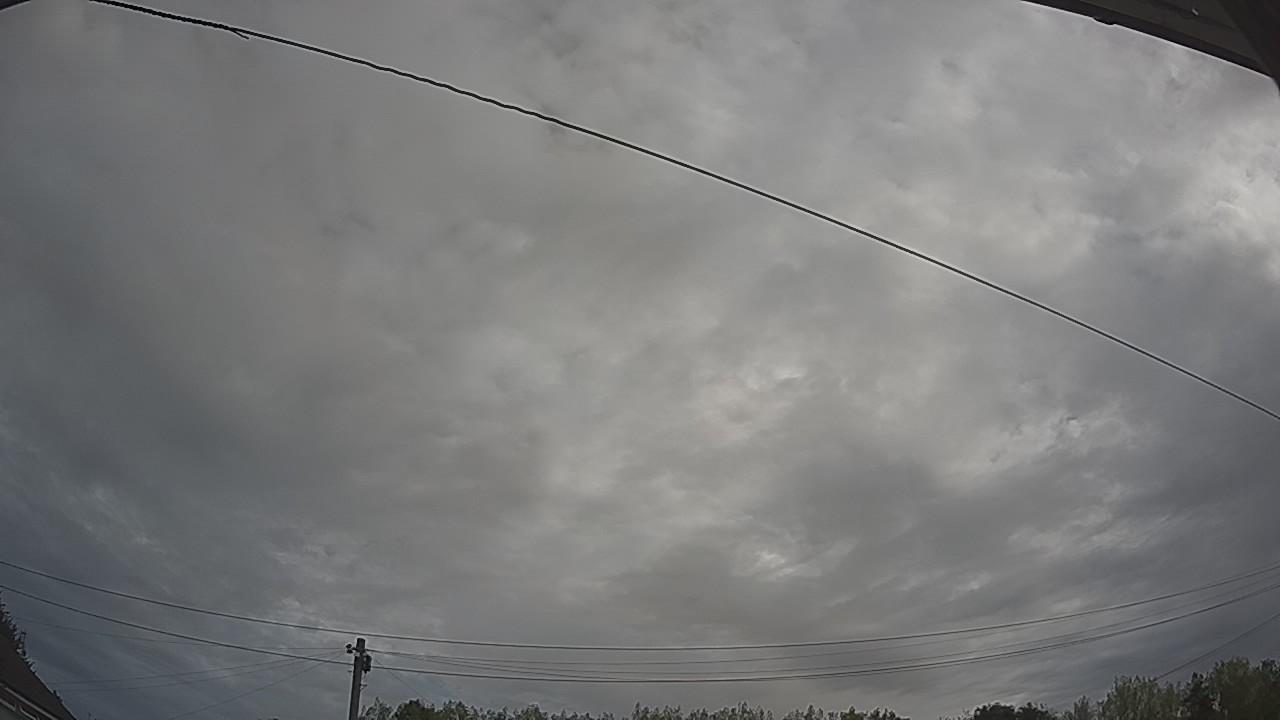 20260816_081948_cam2.jpg