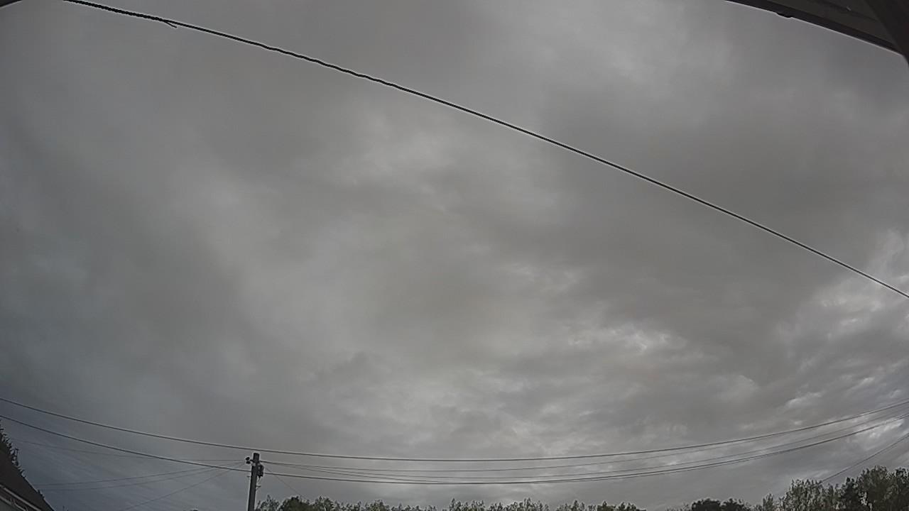20260816_082910_cam2.jpg