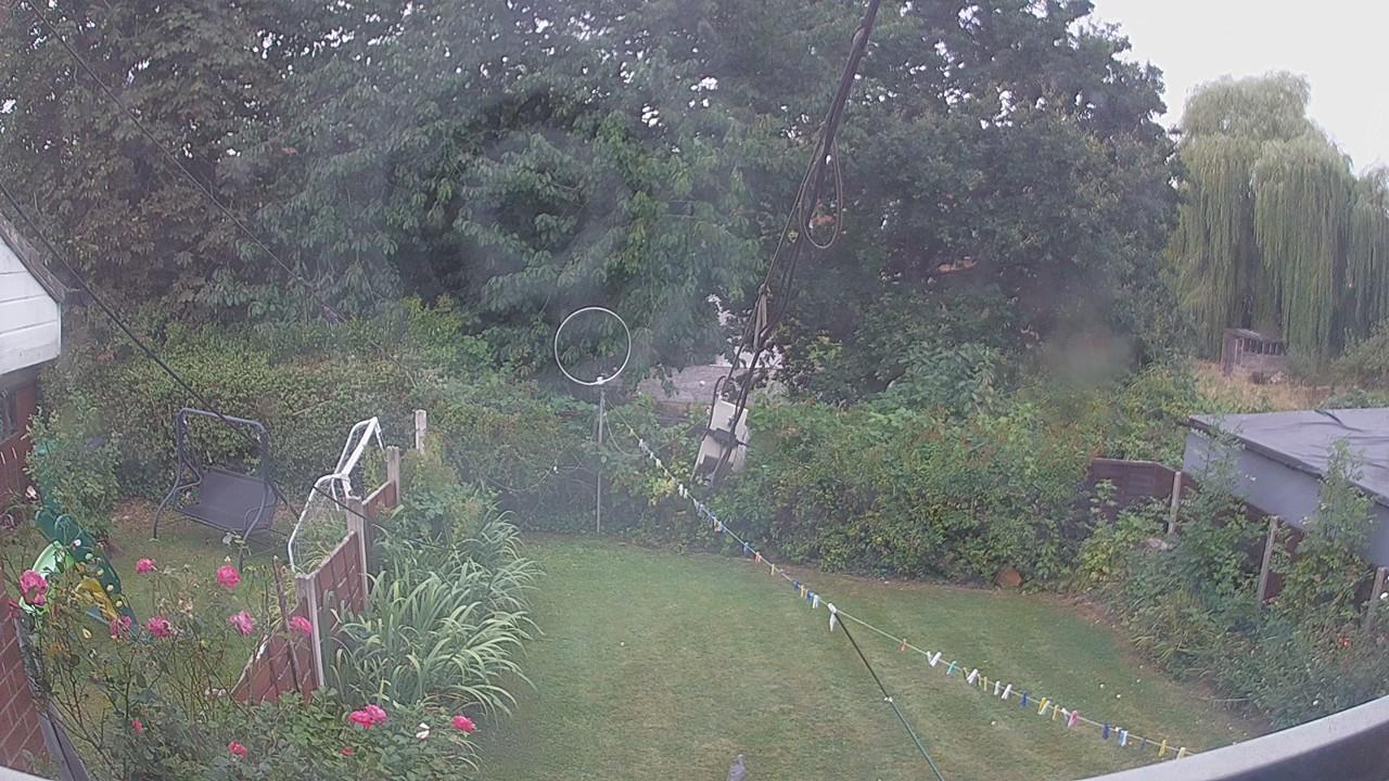 20260816_083345_cam1.jpg
