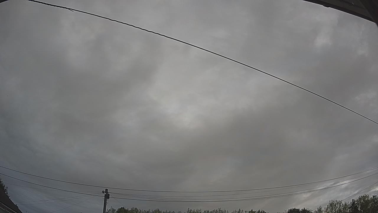 20260816_083822_cam2.jpg