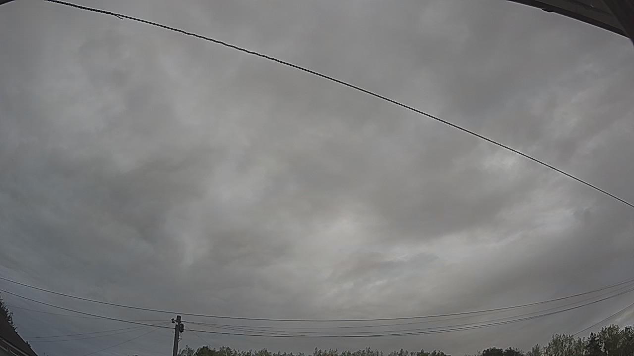 20260816_084258_cam2.jpg