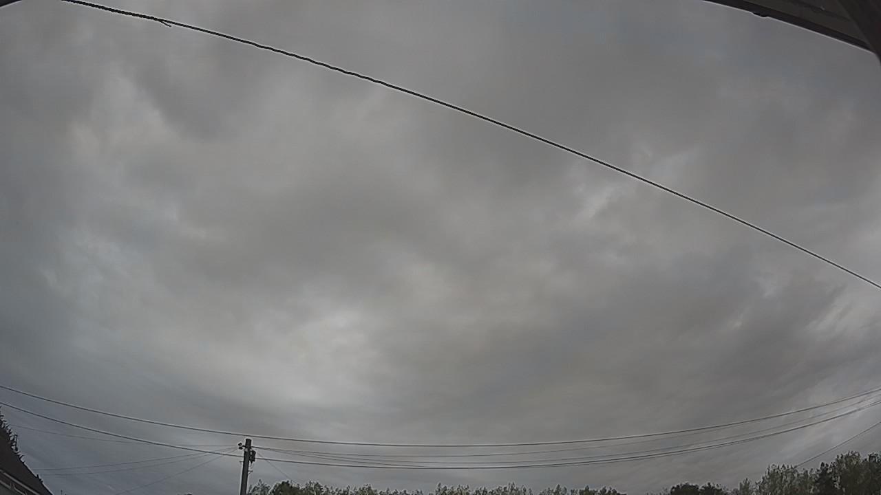20260816_085211_cam2.jpg