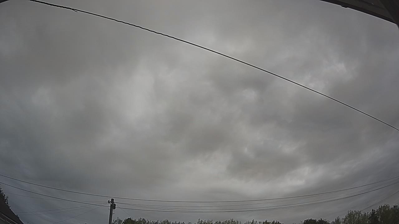 20260816_085647_cam2.jpg
