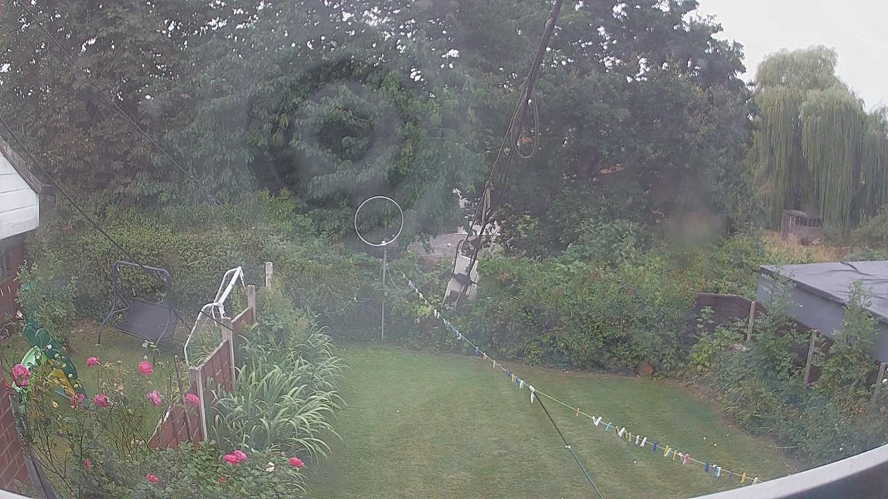 20260816_090131_cam1.jpg