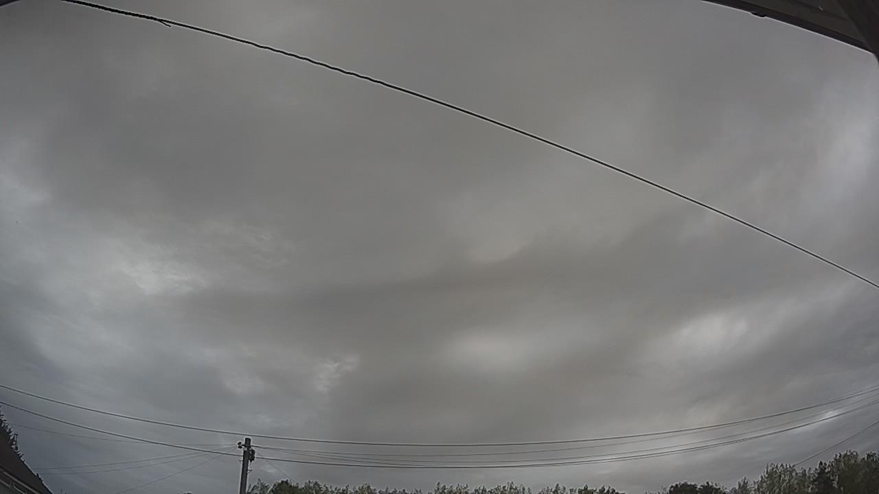 20260816_090132_cam2.jpg