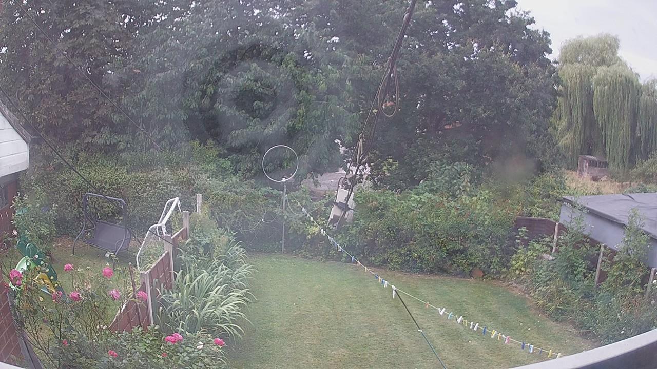 20260816_091102_cam1.jpg