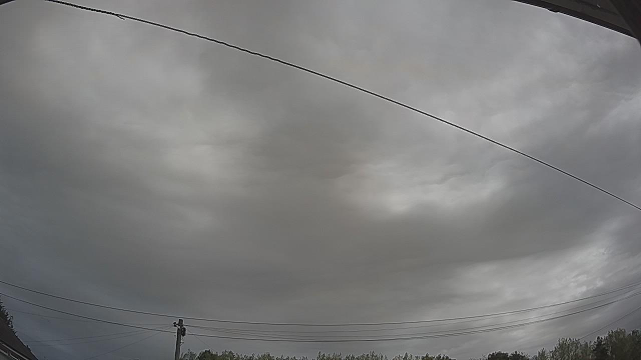 20260816_091103_cam2.jpg