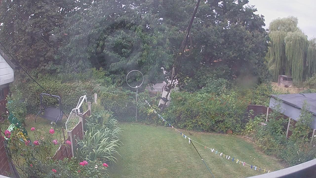 20260816_091547_cam1.jpg