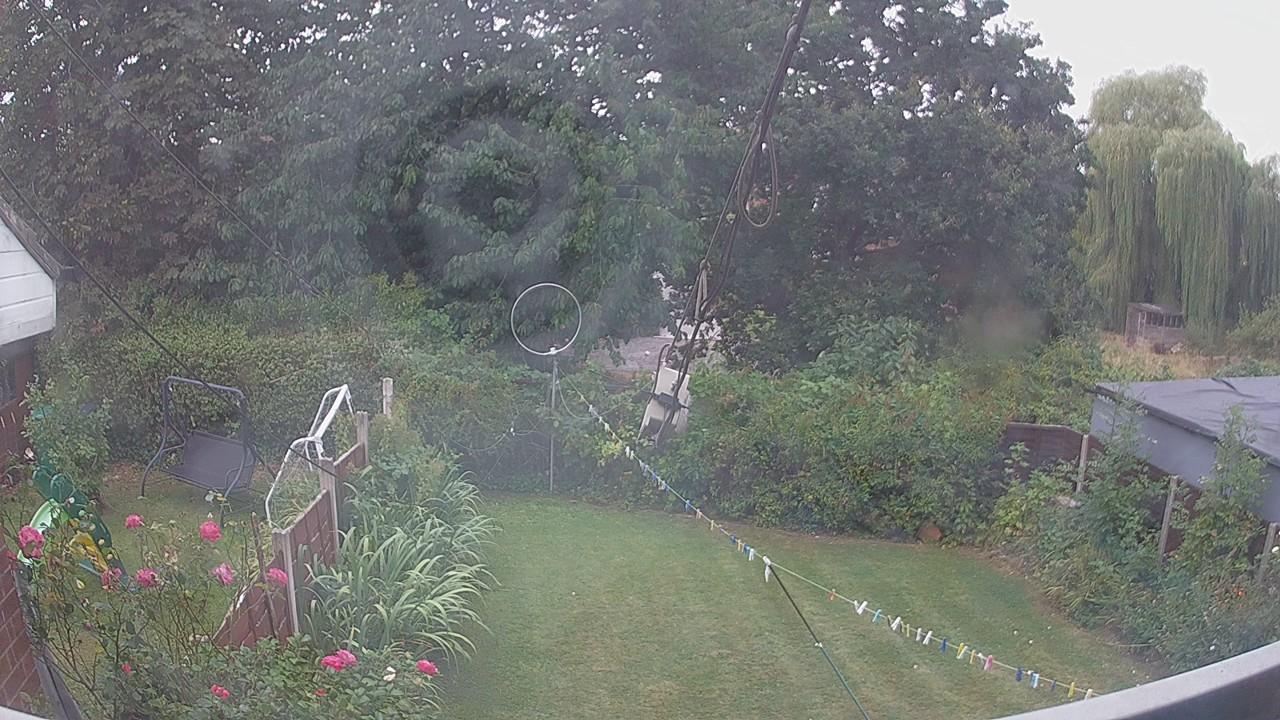 20260816_093003_cam1.jpg