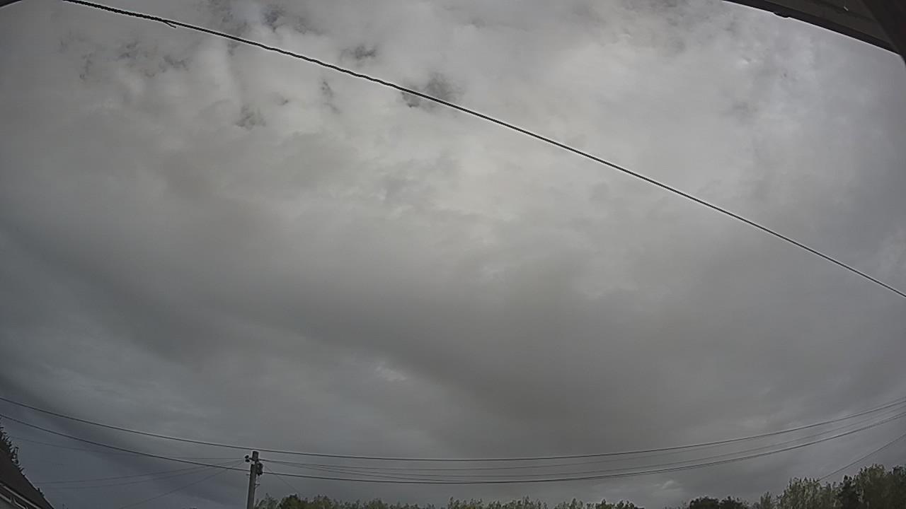 20260816_094903_cam2.jpg