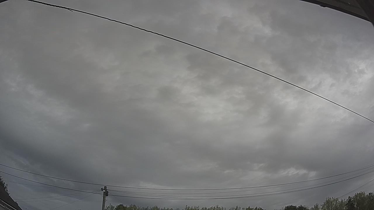 20260816_095348_cam2.jpg