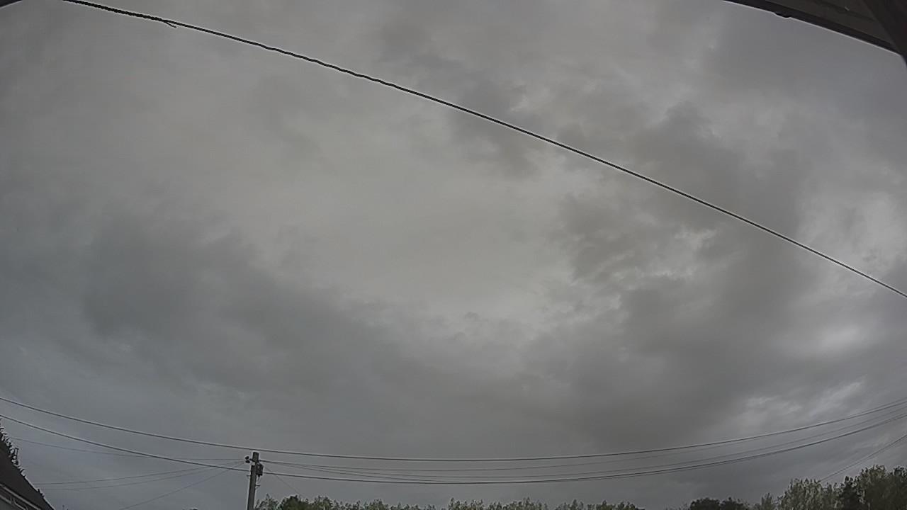 20260816_100325_cam2.jpg
