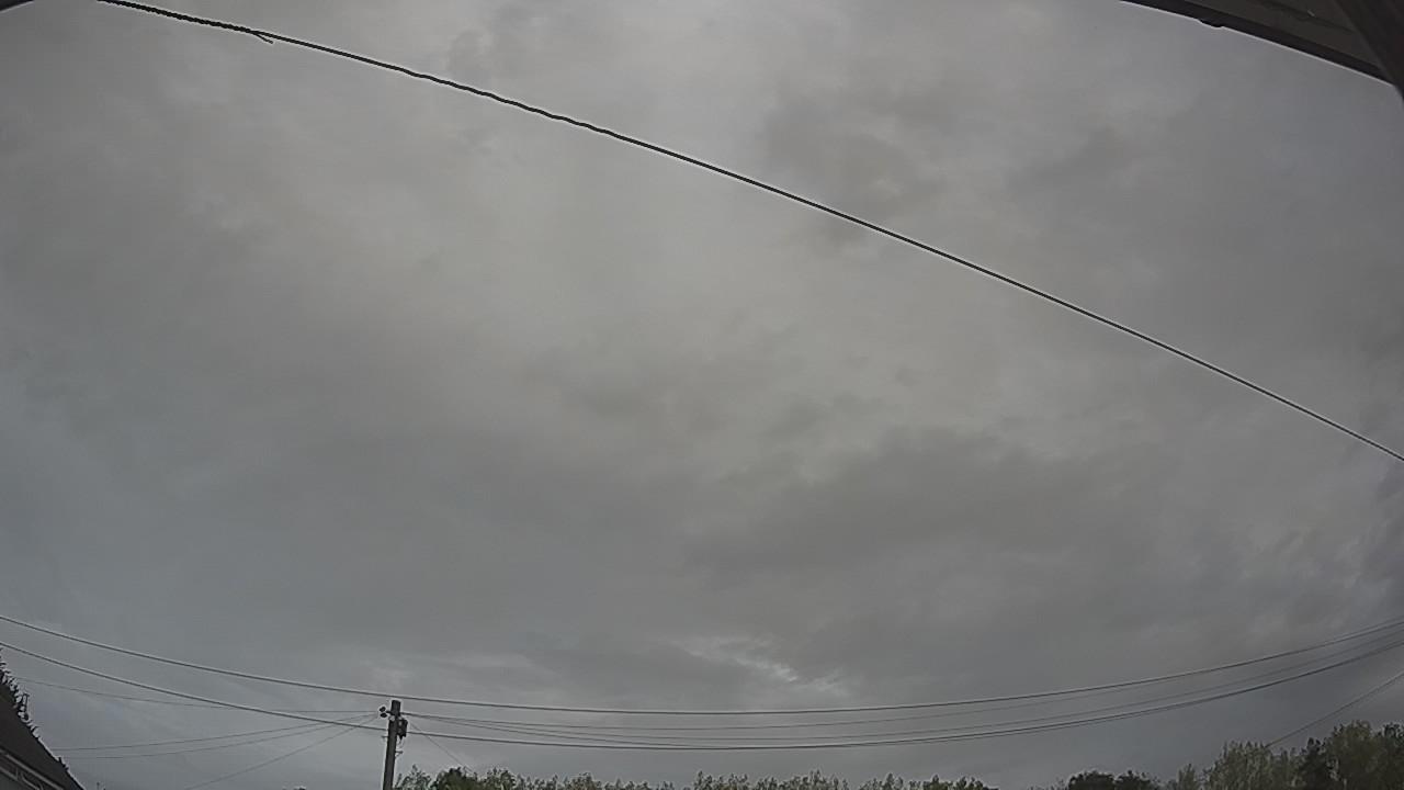 20260816_100818_cam2.jpg