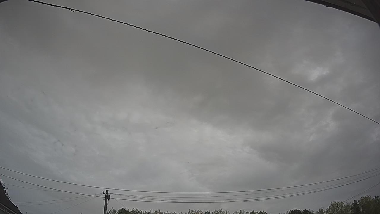 20260816_101804_cam2.jpg