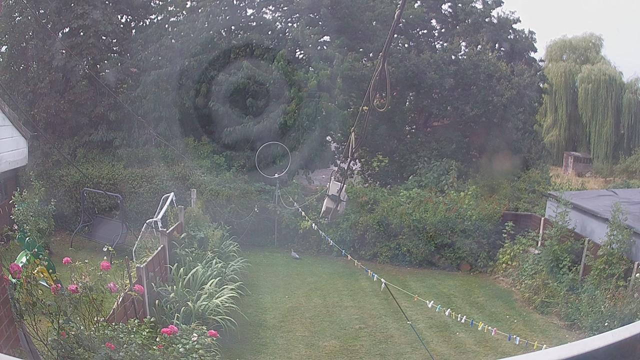 20260816_103704_cam1.jpg