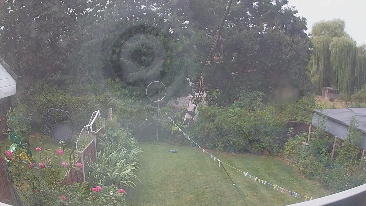20260816_104616_cam1.jpg