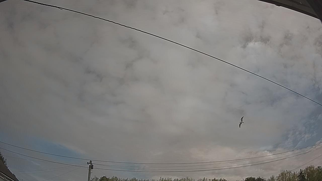 20260816_104617_cam2.jpg