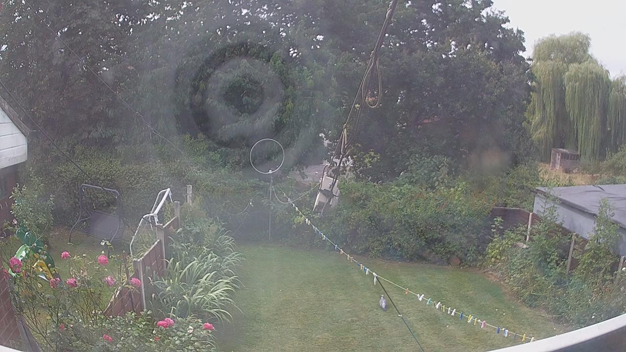 20260816_105053_cam1.jpg