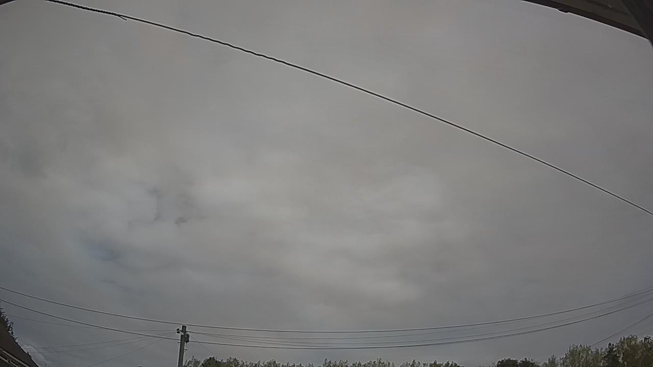 20260816_110015_cam2.jpg