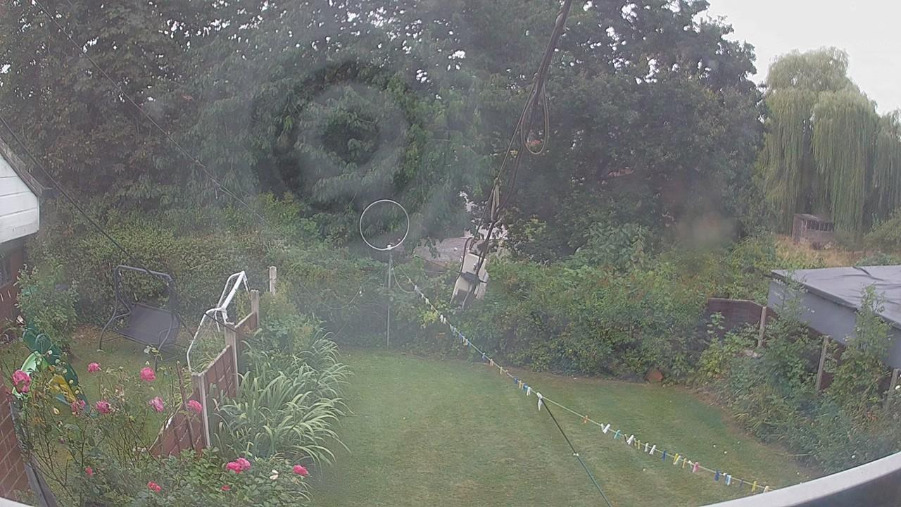 20260816_110500_cam1.jpg
