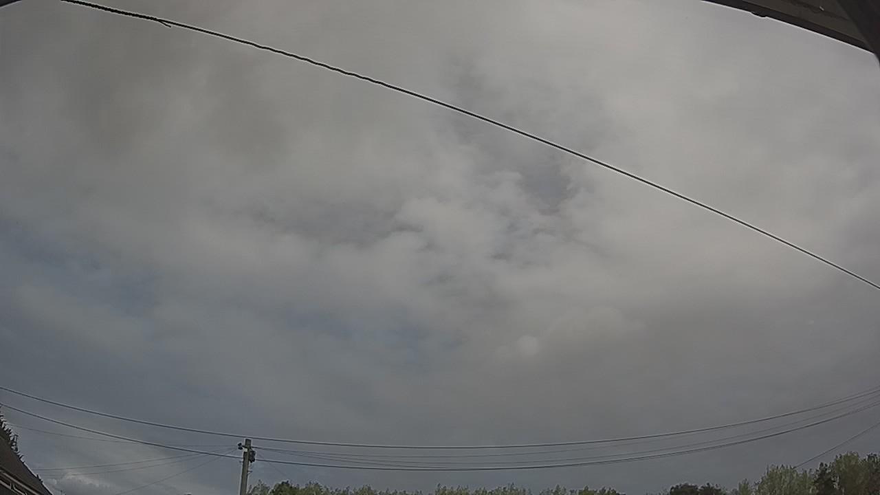 20260816_110946_cam2.jpg