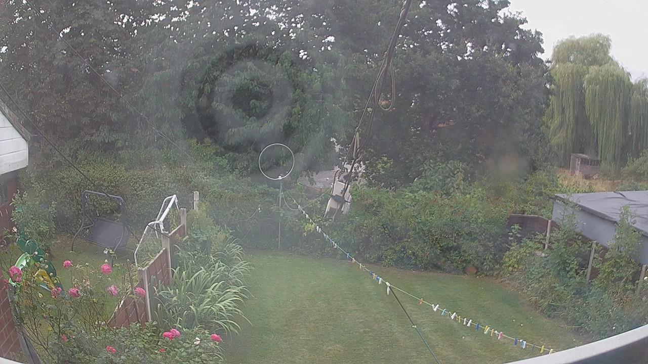 20260816_111915_cam1.jpg