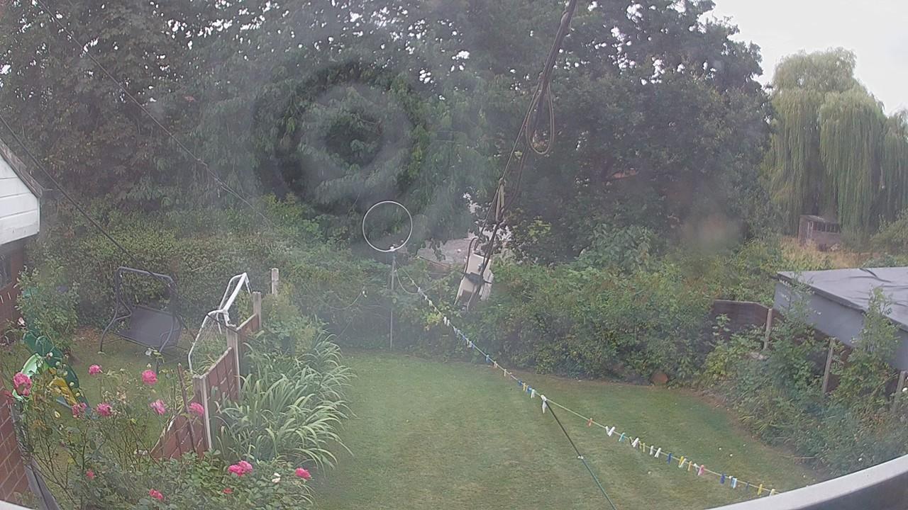 20260816_112400_cam1.jpg