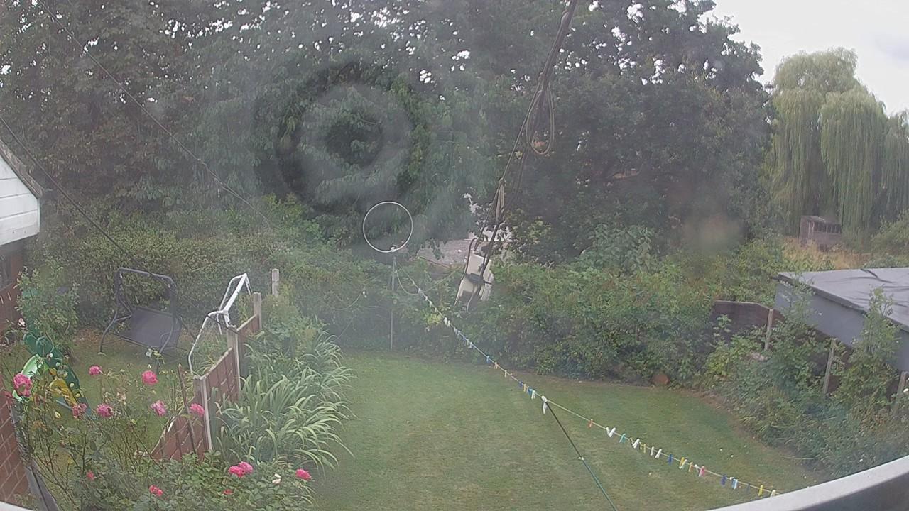 20260816_113321_cam1.jpg