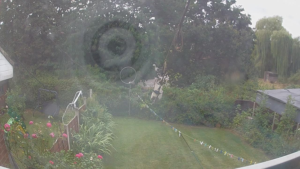 20260816_114234_cam1.jpg