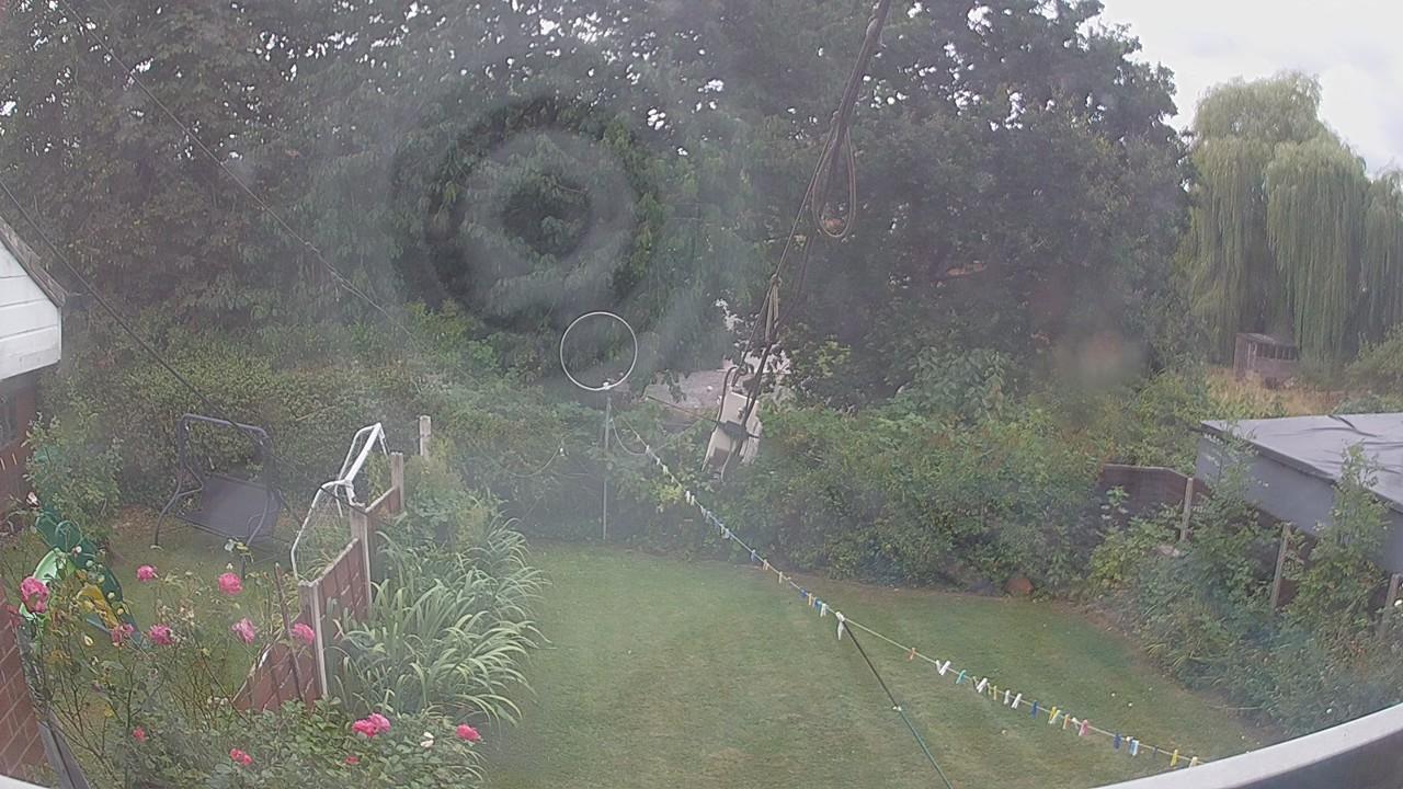 20260816_115623_cam1.jpg
