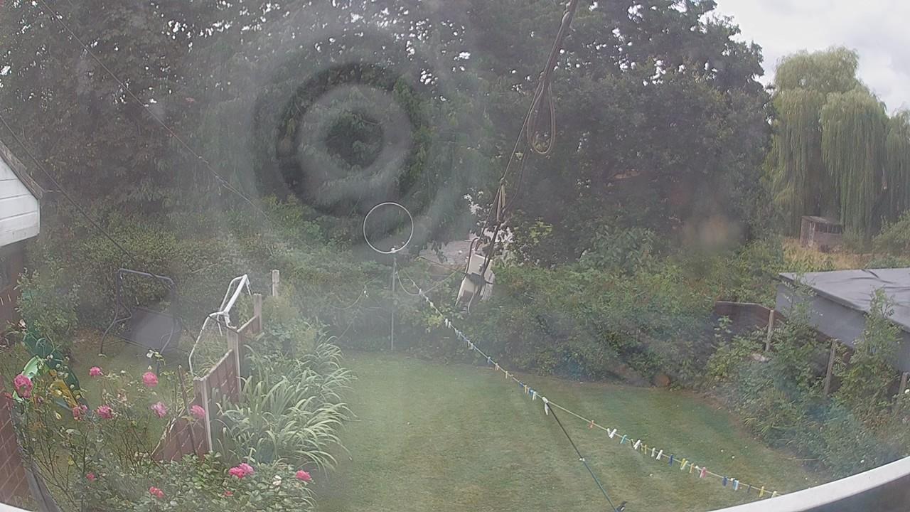 20260816_120108_cam1.jpg