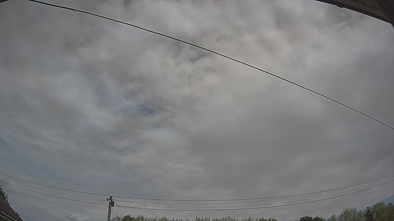 20260816_120554_cam2.jpg