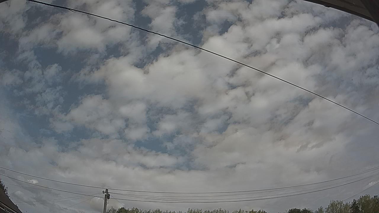 20260816_122930_cam2.jpg