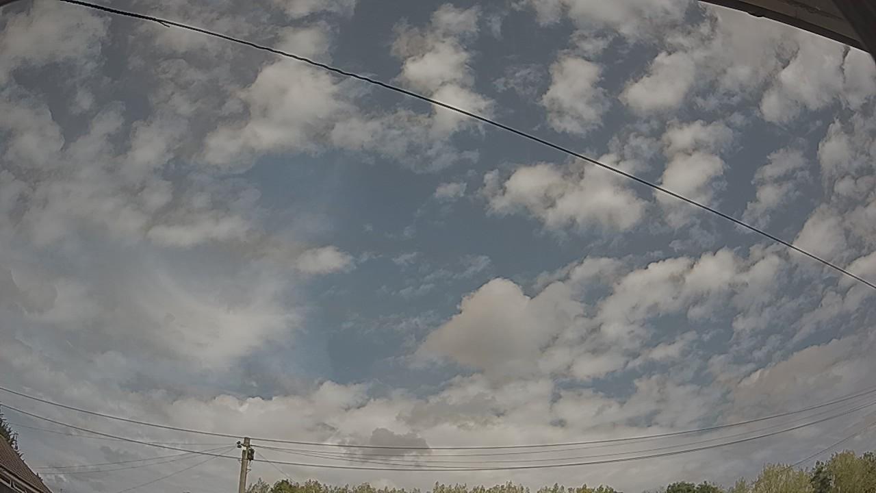 20260816_123405_cam2.jpg