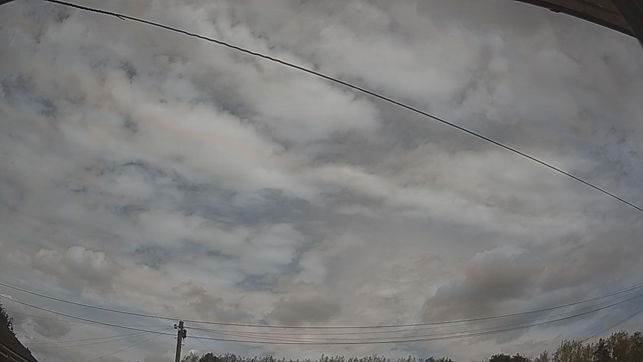 20260816_124751_cam2.jpg