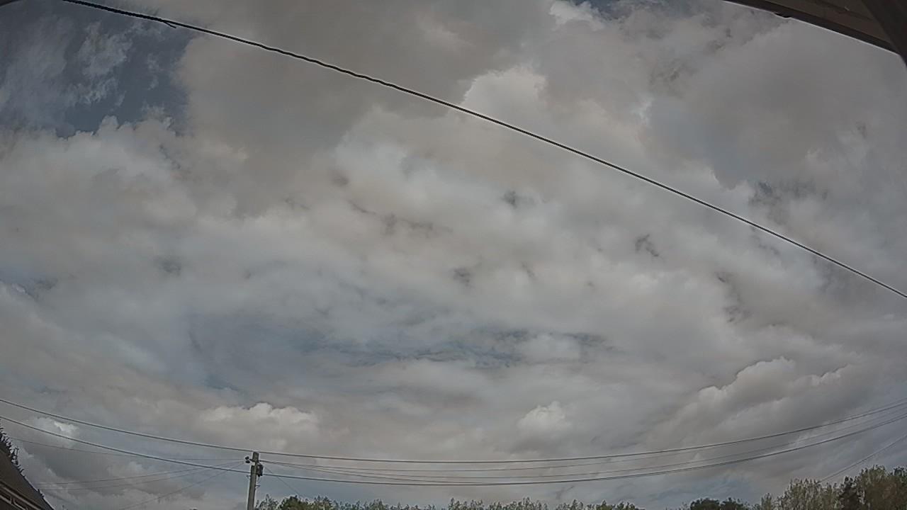 20260816_125227_cam2.jpg