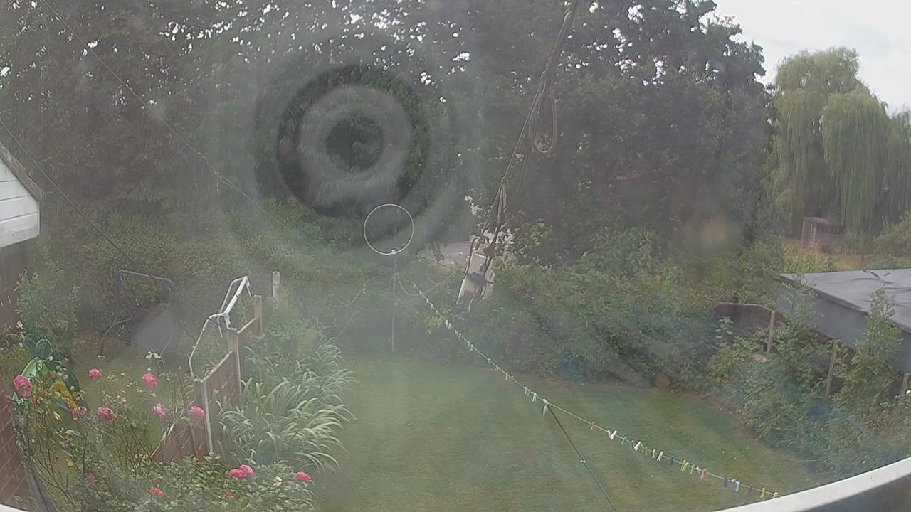 20260816_131118_cam1.jpg