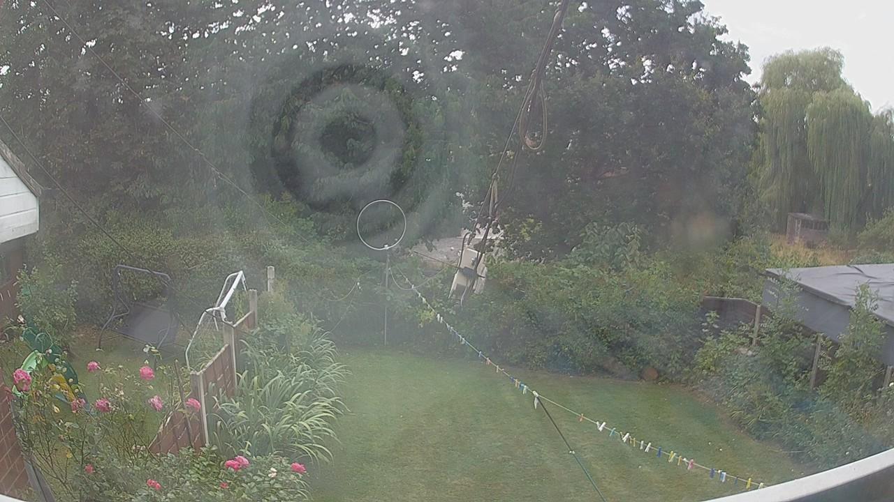 20260816_132048_cam1.jpg
