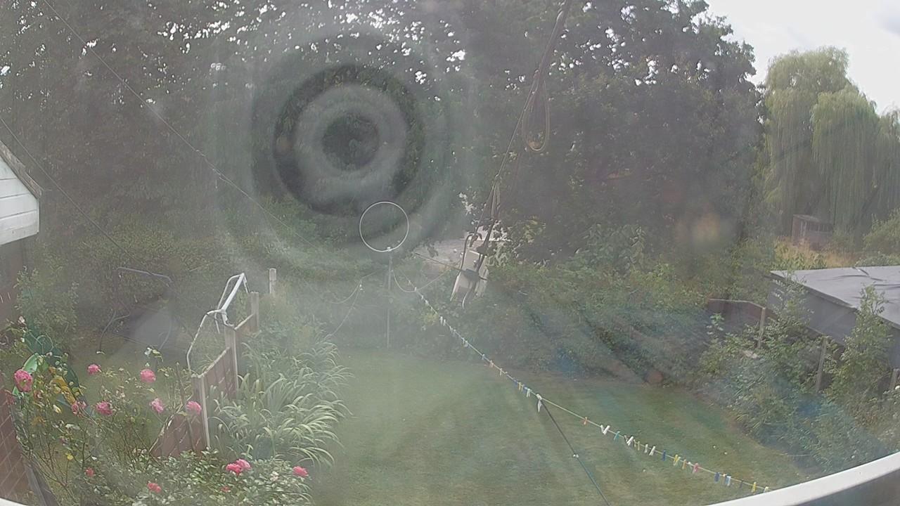 20260816_132533_cam1.jpg