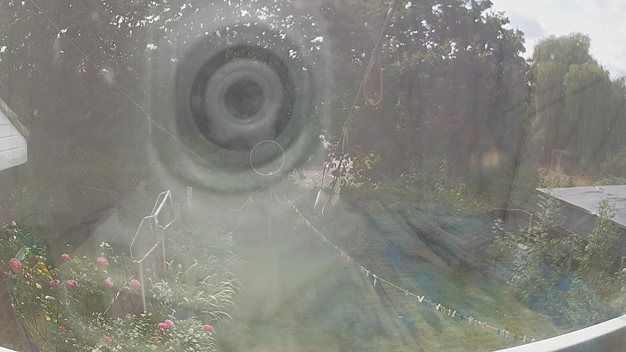 20260816_133010_cam1.jpg