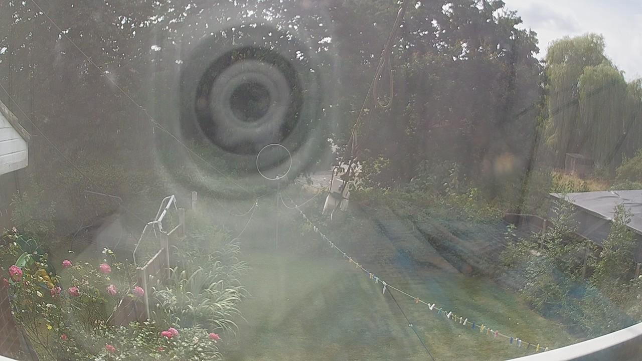 20260816_133446_cam1.jpg