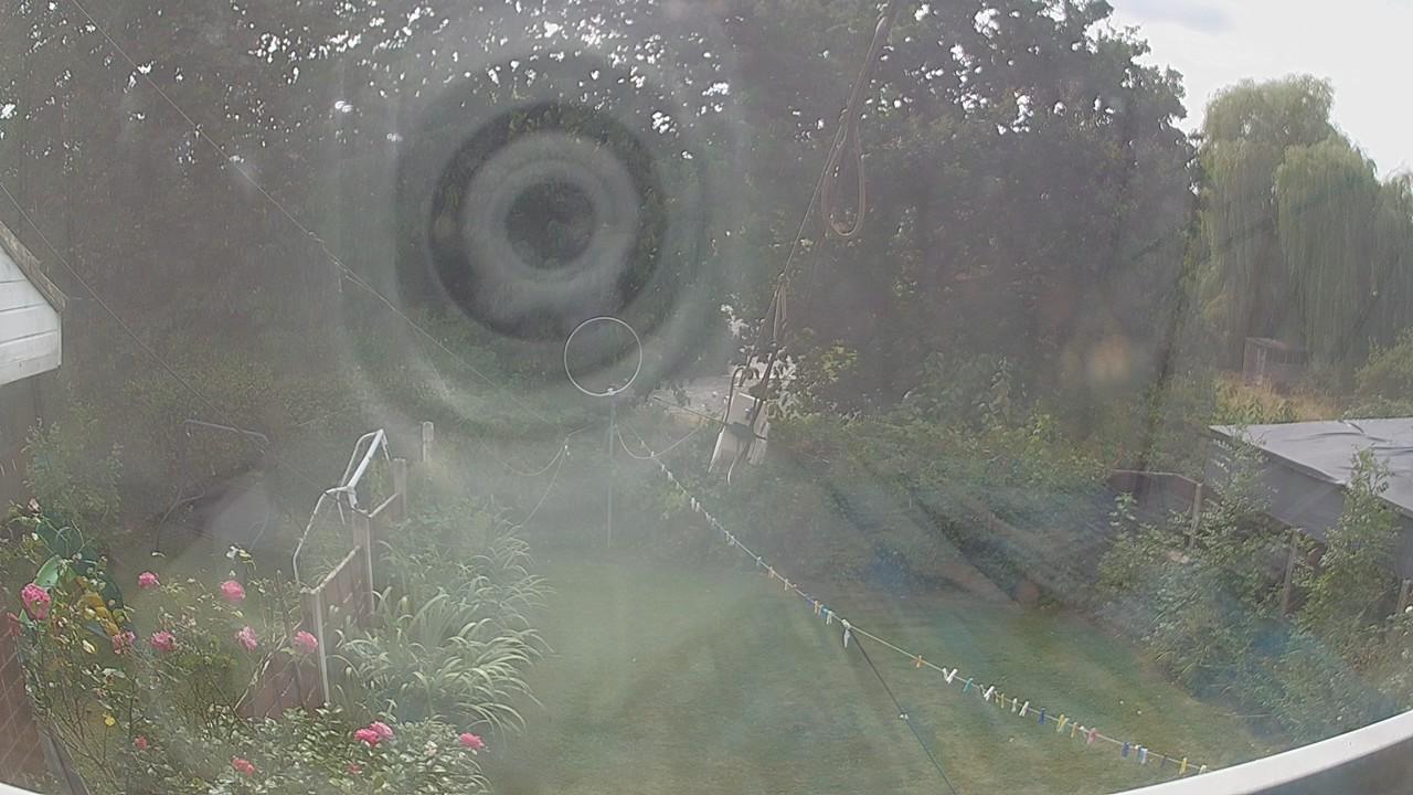 20260816_133923_cam1.jpg