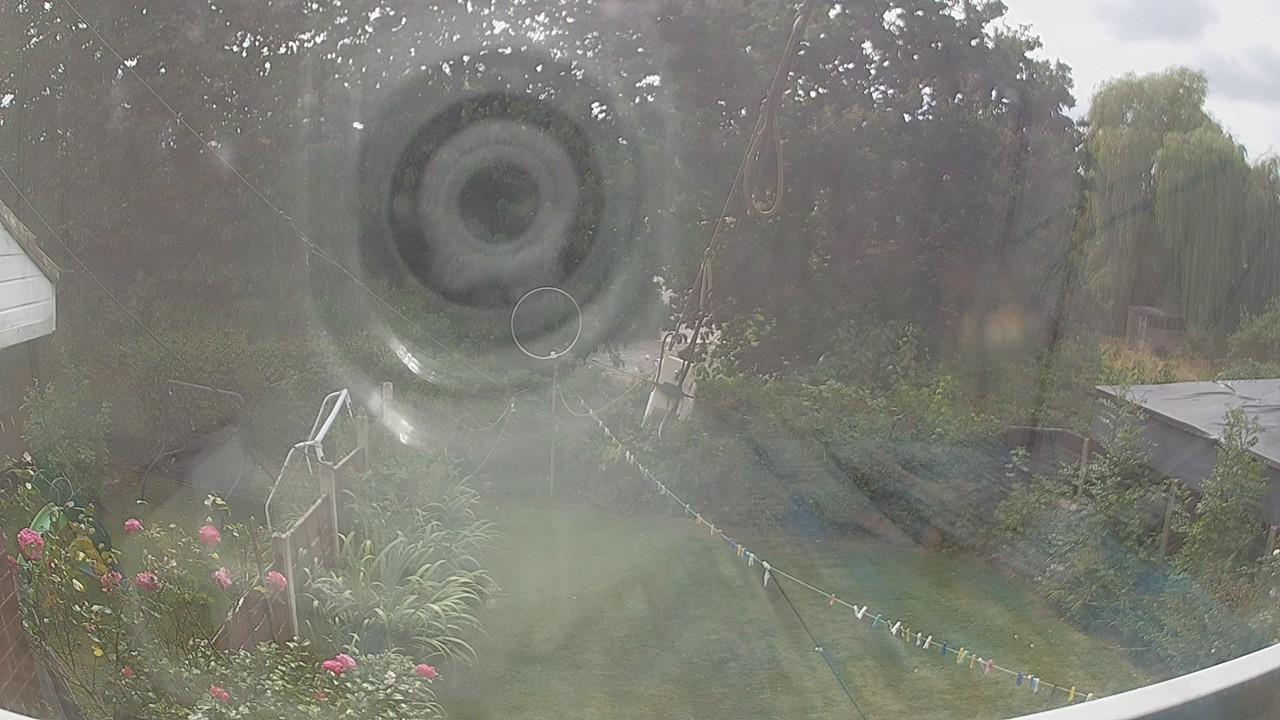 20260816_135311_cam1.jpg
