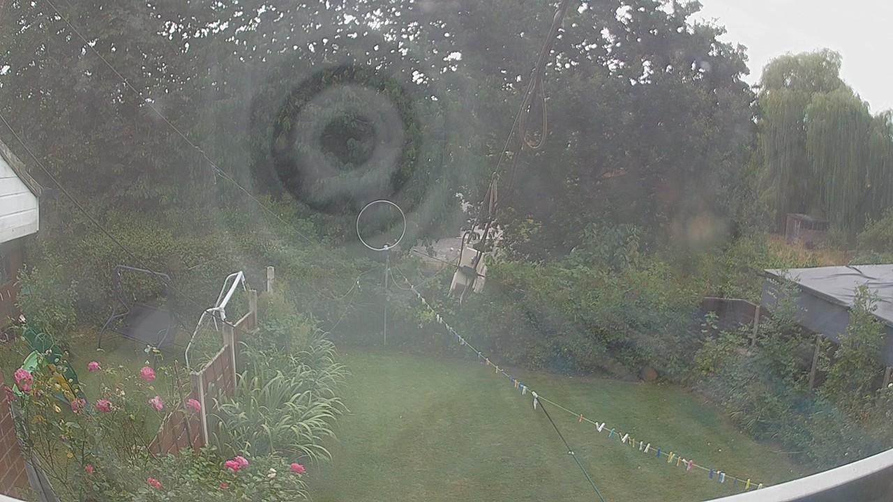 20260816_141204_cam1.jpg